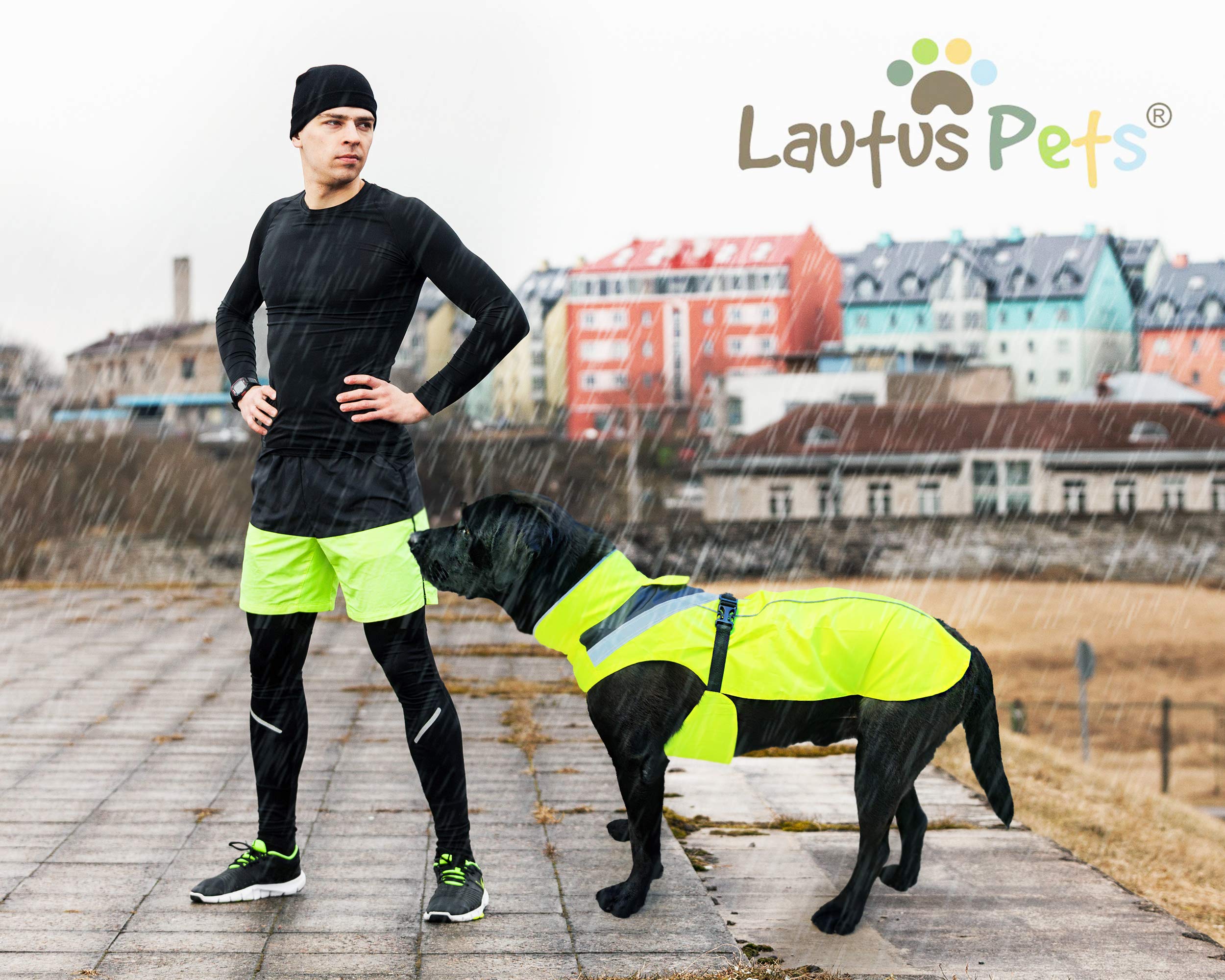 Lautus Pets tiras reflectantes en la cobertura para seguridad nocturna