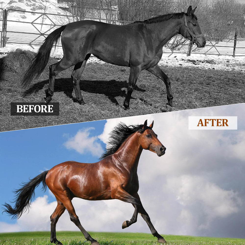 Lazersell Probioticos para Caballos: dosis-dosificador facilita mezclar con la comida.