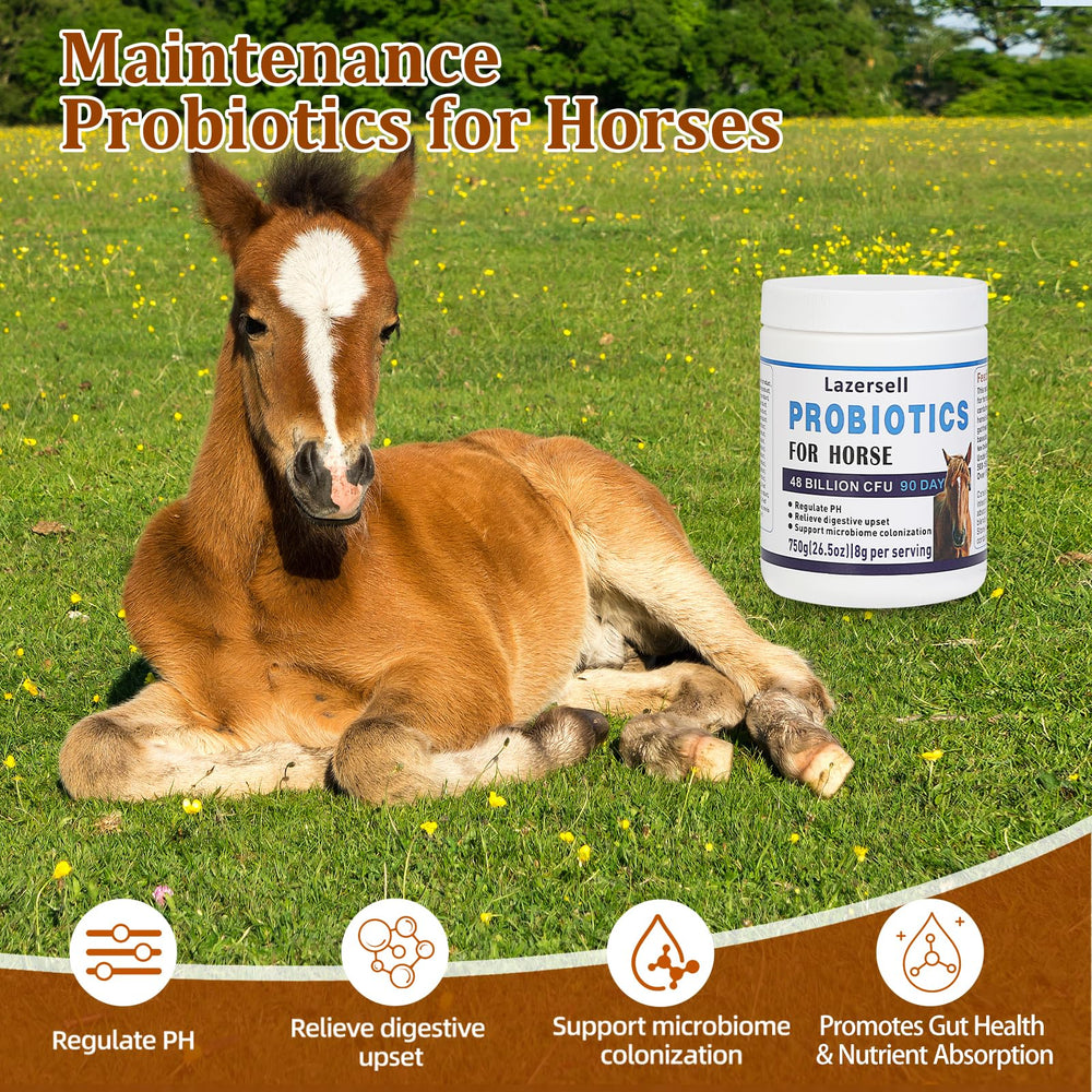 Lazersell Probioticos para Caballos: envase-presentacion en estante orienta sobre uso diario.