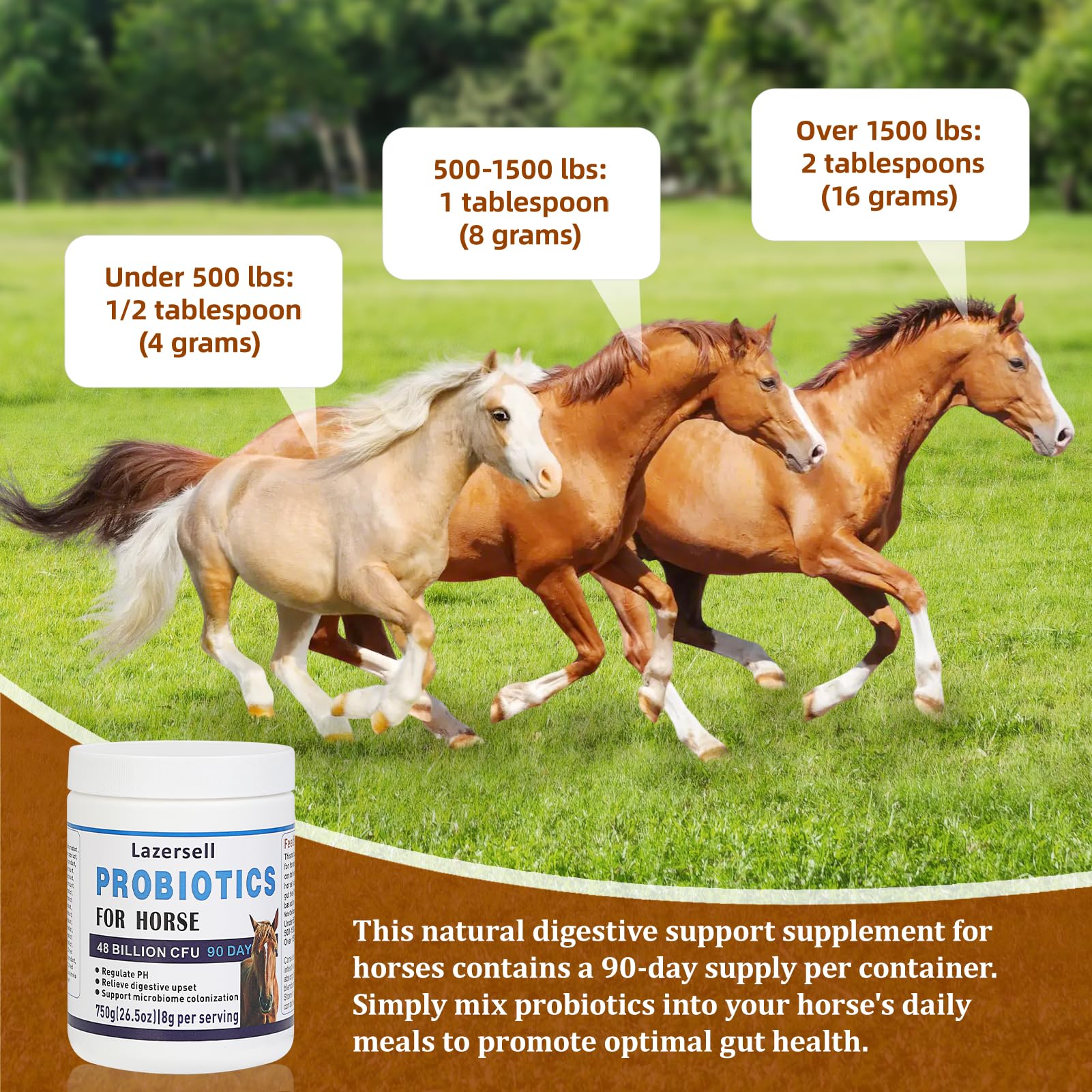 Lazersell Probioticos para Caballos: imagen de establo sugiere uso diario.