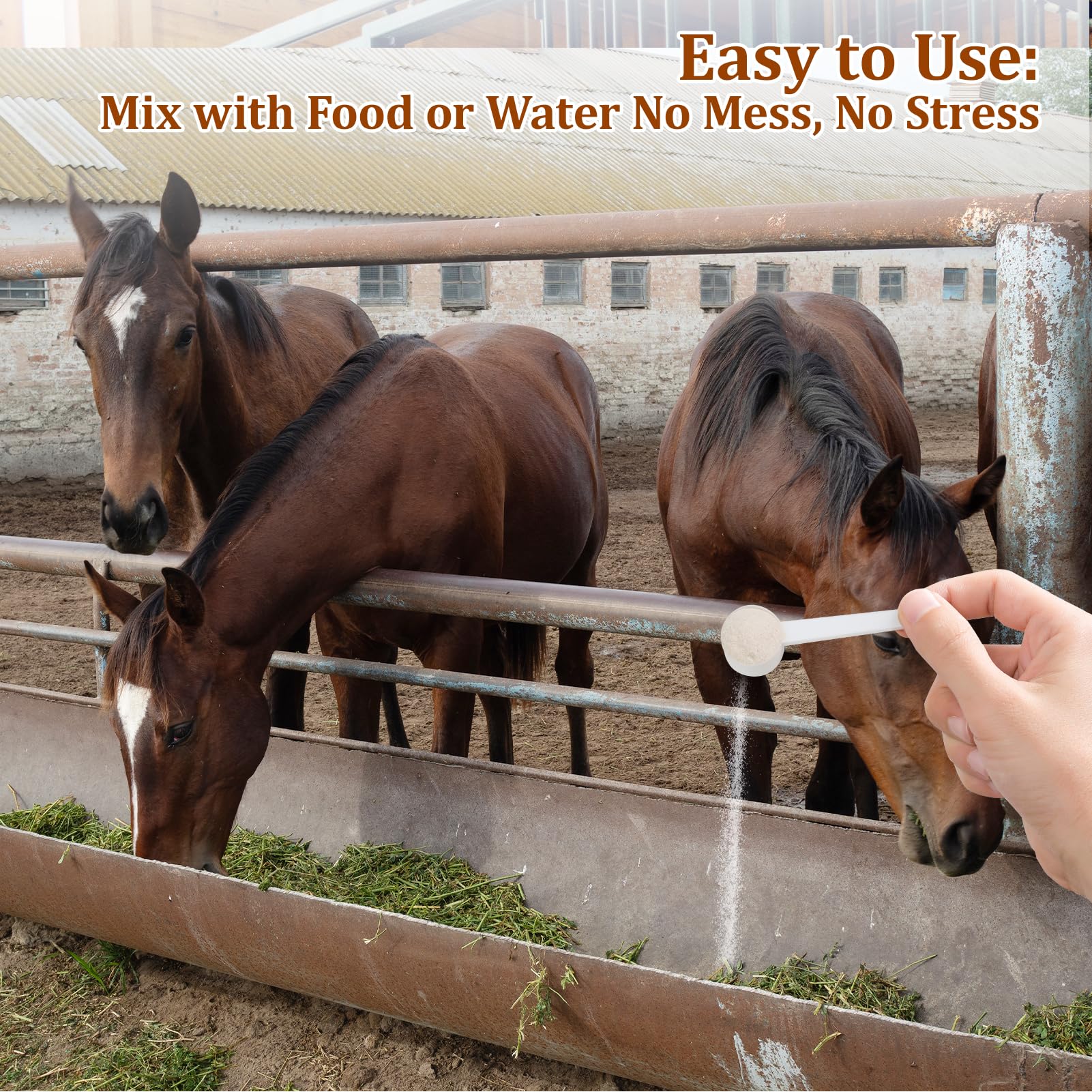 Lazersell Probioticos para Caballos: mezcla-en-alimento se integra suavemente en la ración.