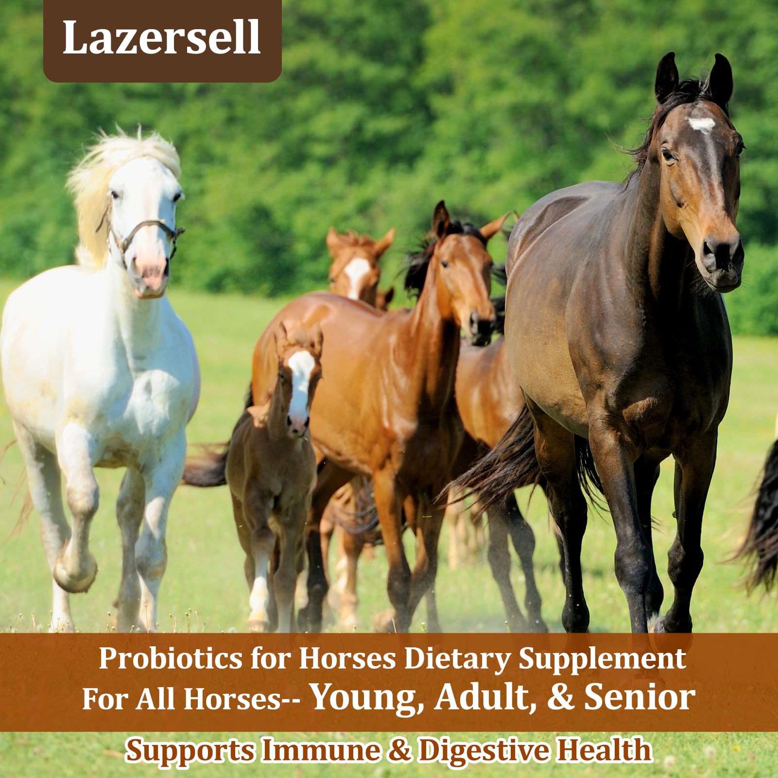 Lazersell Probioticos para Caballos: primer plano de etiqueta resalta beneficios digestivos.
