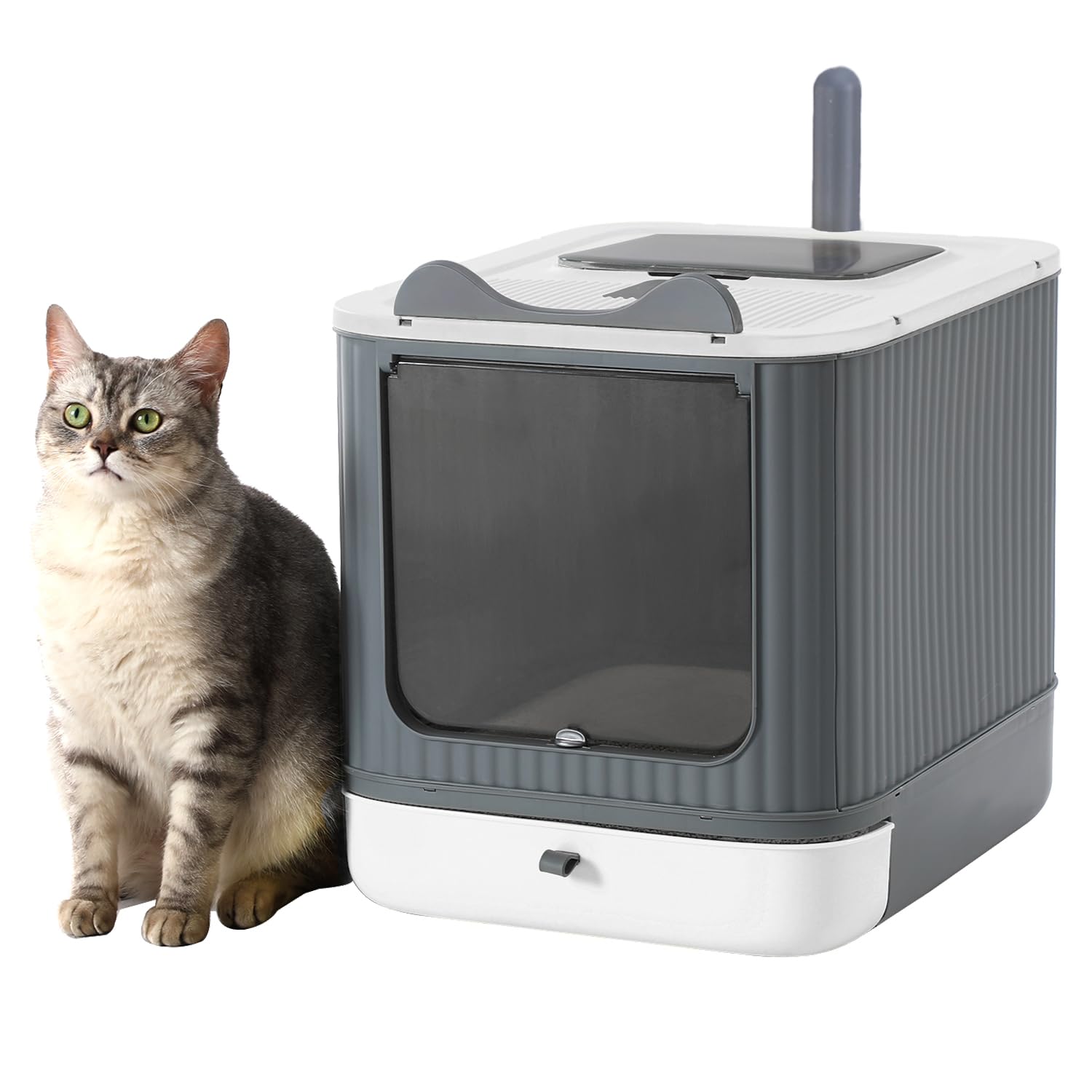 LCZLBRRD caja de arena plegable con tapa para privacidad del gato.