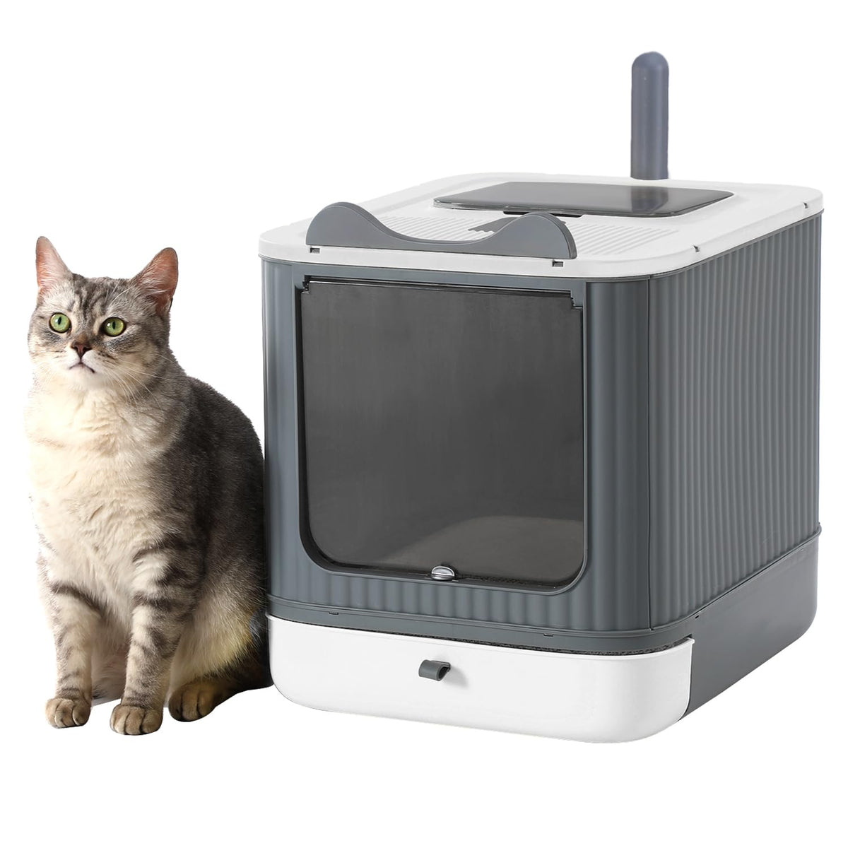 LCZLBRRD caja de arena plegable con tapa para privacidad del gato.
