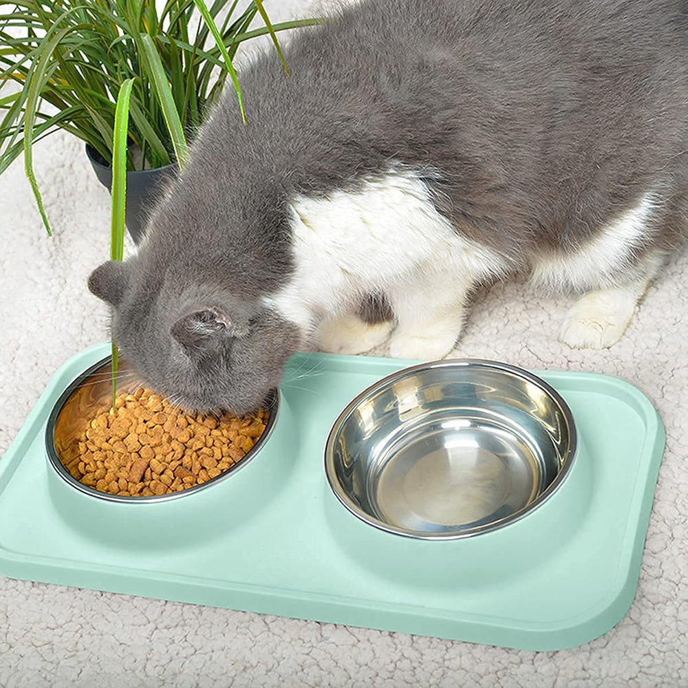 LdDog base de apoyo ergonómica: eleva la comida para cuello cómodo.