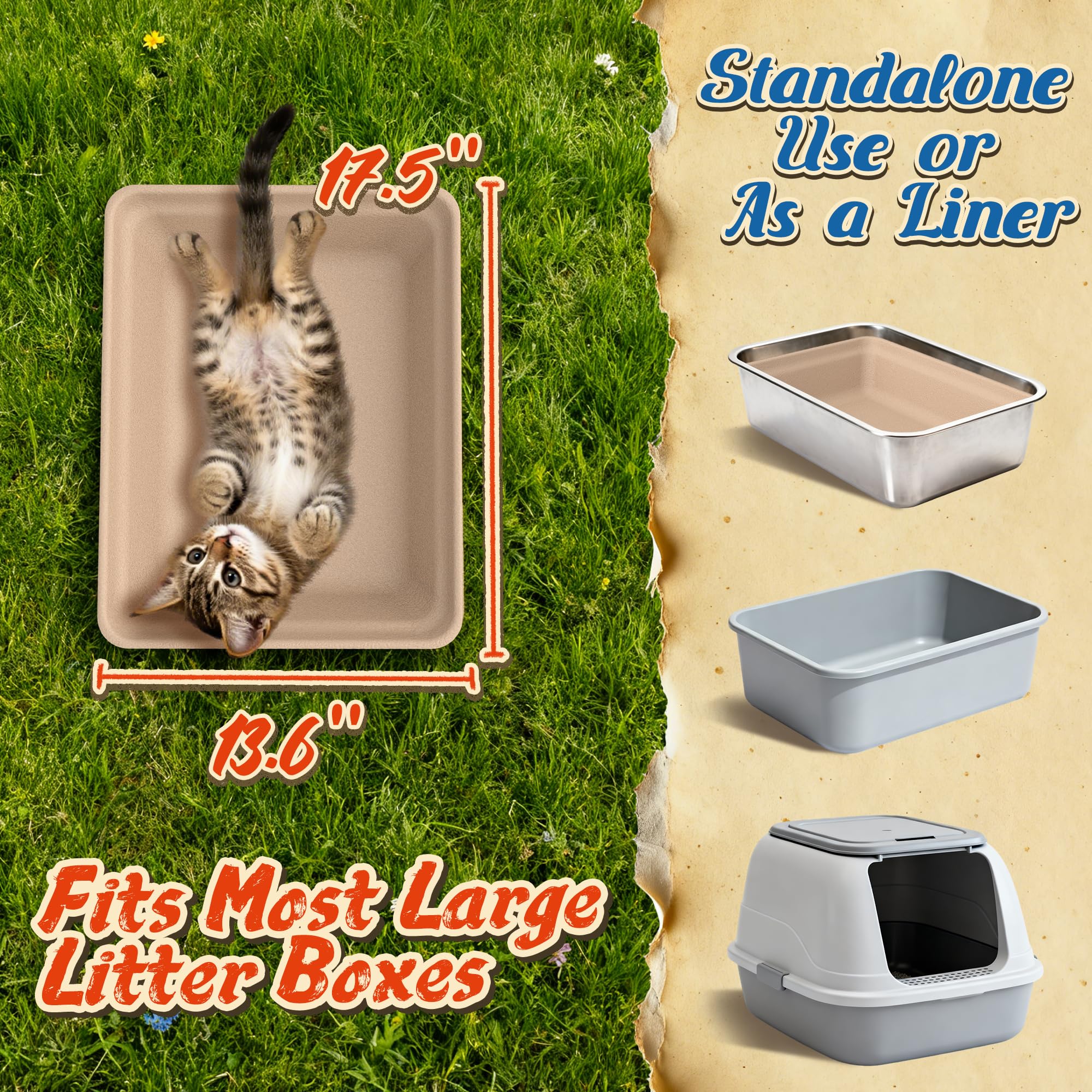 Le Sens Amazing Home caja-arena-gatos-foster, opción económica para varios felinos.