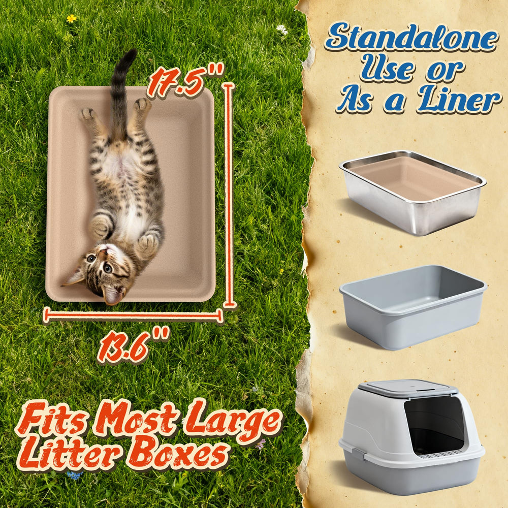 Le Sens Amazing Home caja-arena-gatos-foster, opción económica para varios felinos.