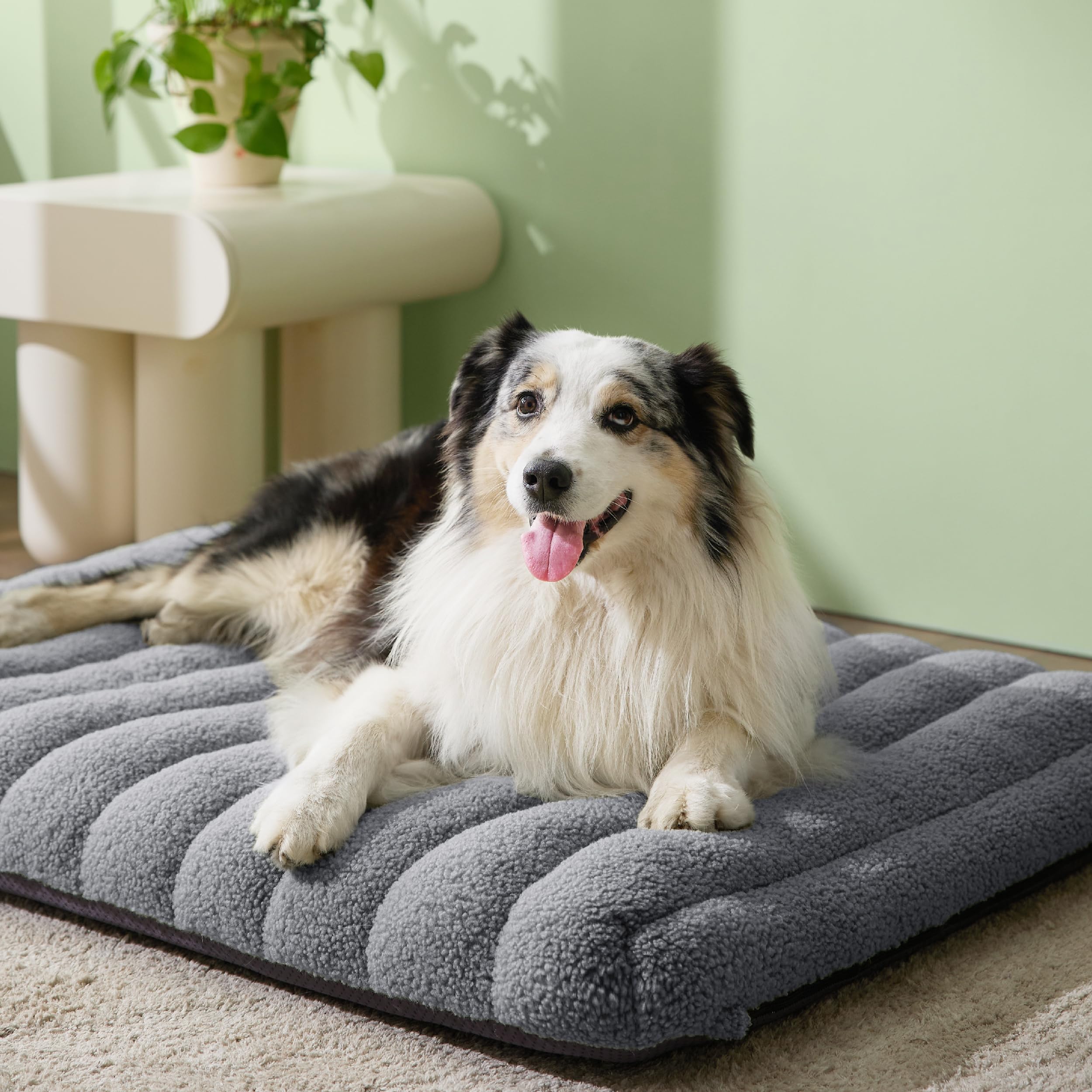 LE SURE Cama para perro, funda desmontable lavable para limpieza fácil.