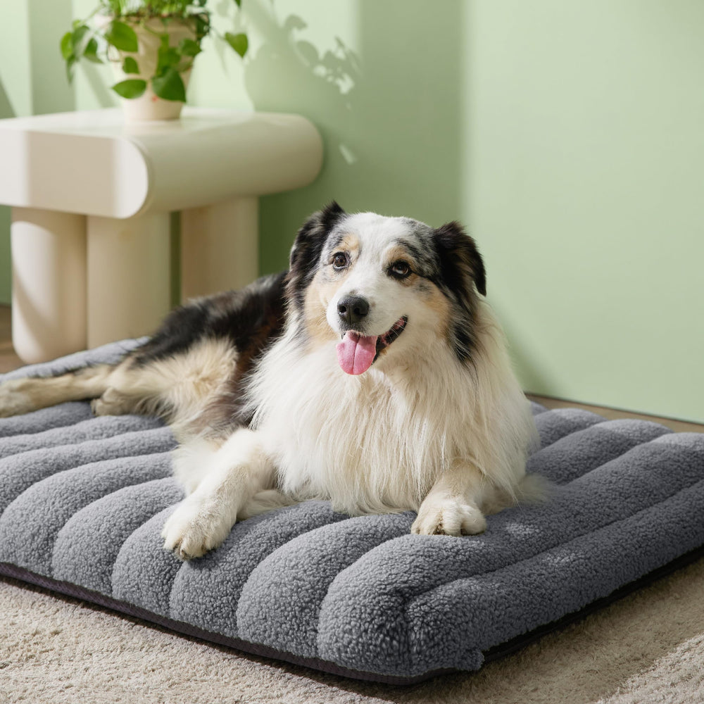 LE SURE Cama para perro, funda desmontable lavable para limpieza fácil.