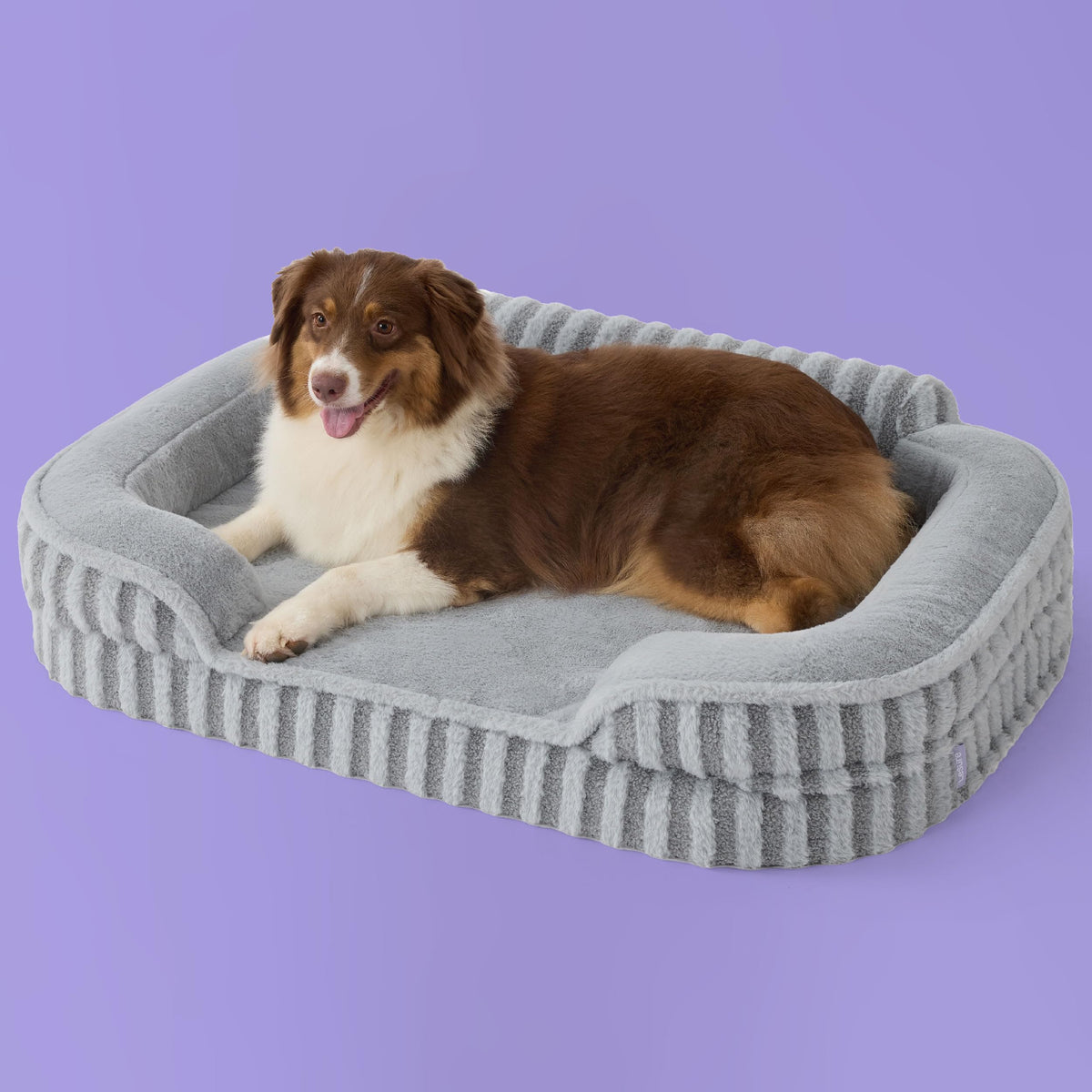 Cama LE SURE para perro grande con espuma forma huevo para soporte suave.