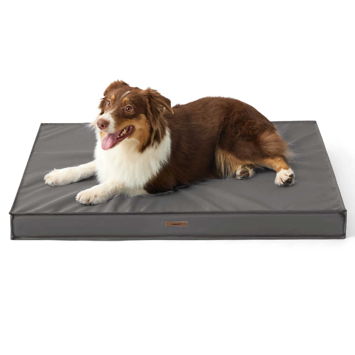 LE SURE cama para perros impermeable Oxford, ideal para exterior e interior.