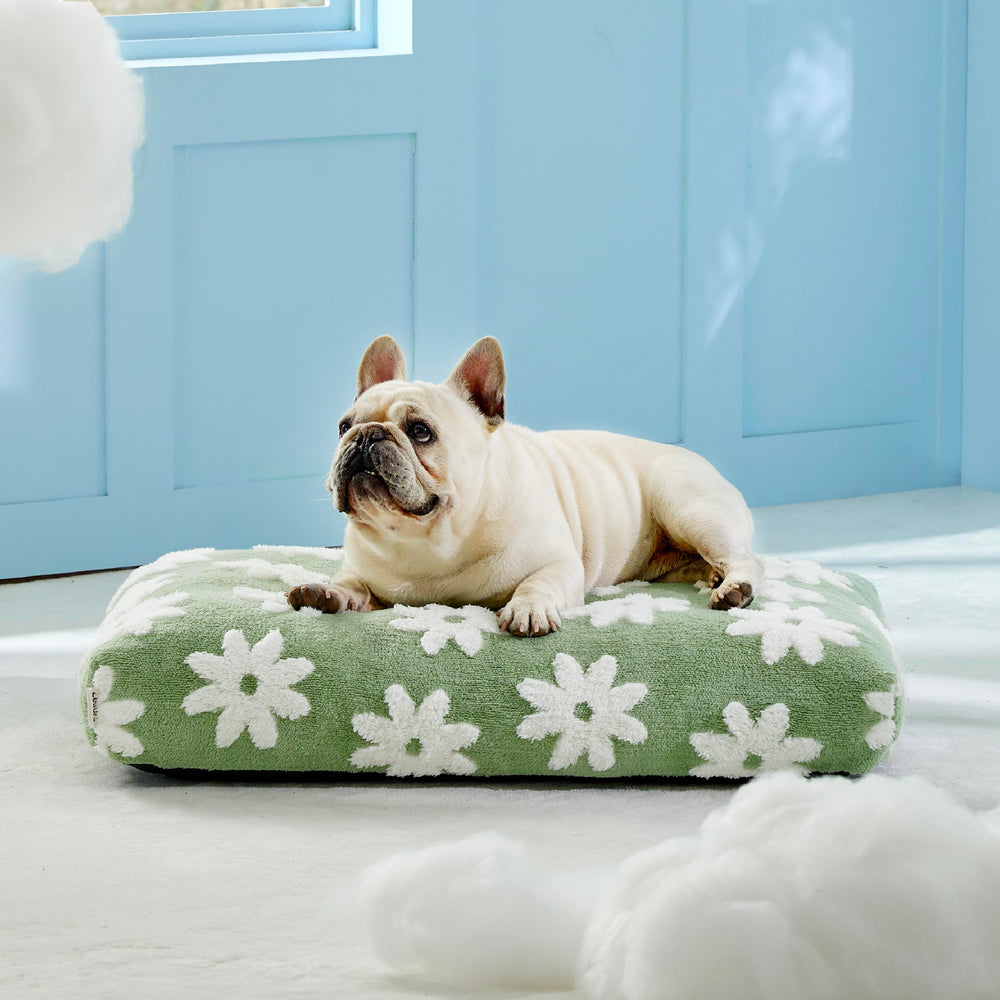 le-sure cama-perro-media-diseño-moderno-verde estilo contemporáneo para tu mascota