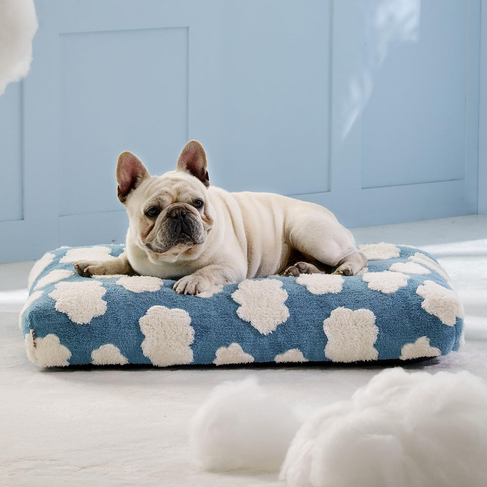 LE SURE cama para perro adecuada para uso interior y exterior.