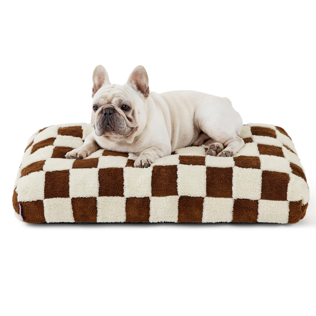 Le SURE cama para perro mediana, soporte cómodo para descansar en casa.
