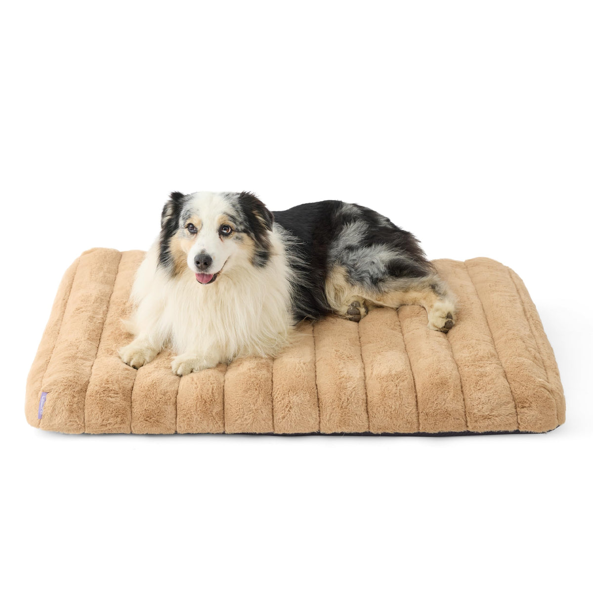 LE SURE cama ortopédica para perros grandes ofrece apoyo suave al dormir