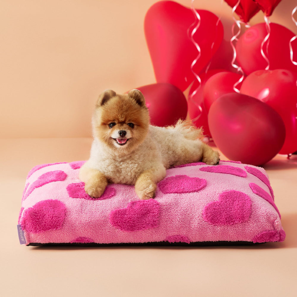 Cama LE SURE para perro pequeño con espuma picada, descanso cómodo
