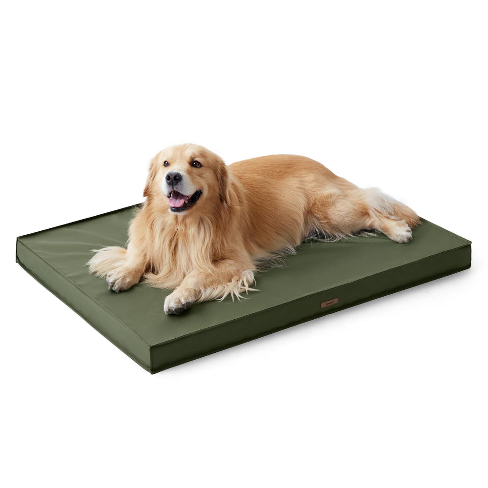 Uso interior o exterior con diseño versátil de LE SURE para perros grandes