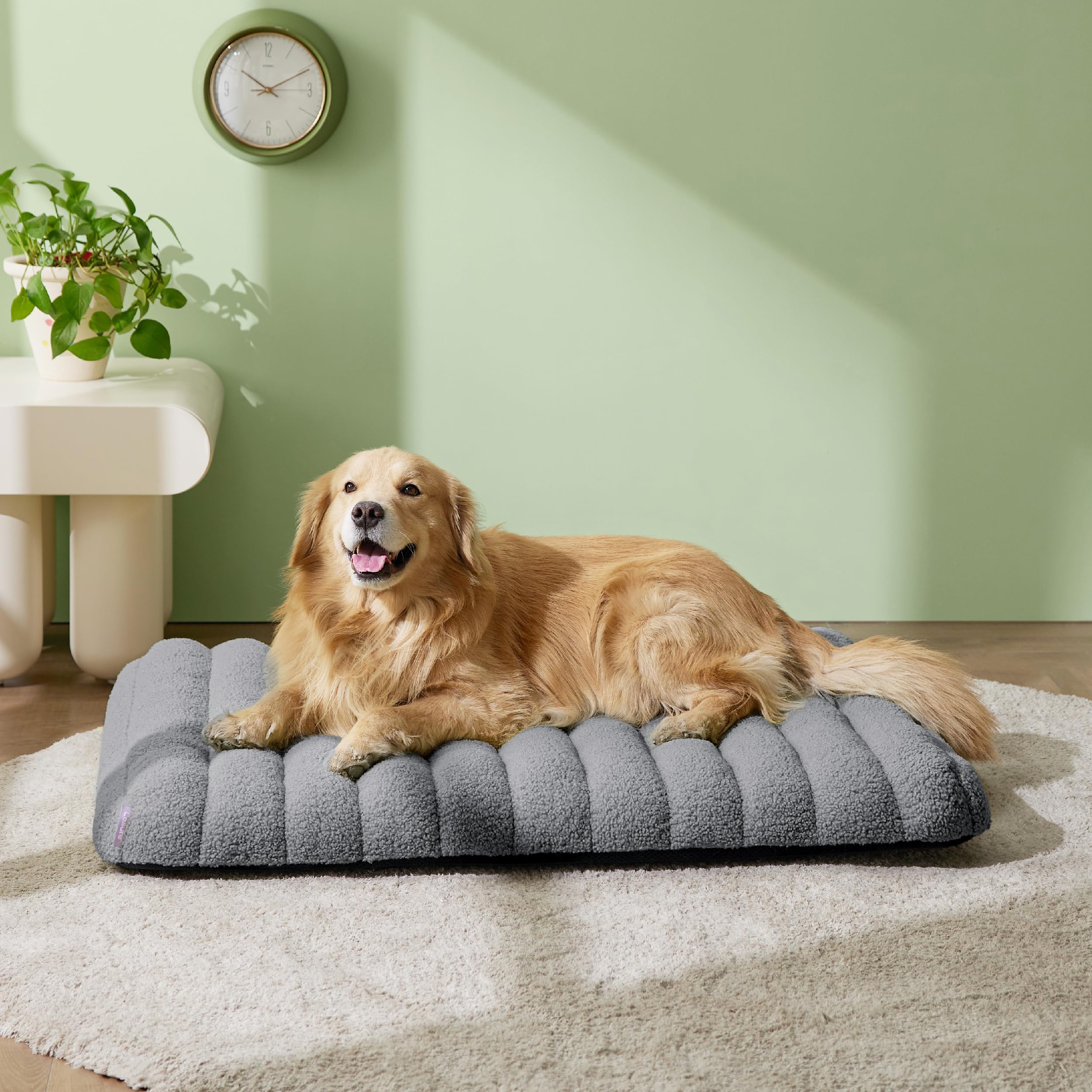 LE SURE cama para perros XL diseño elegante y versátil para cualquier habitación.