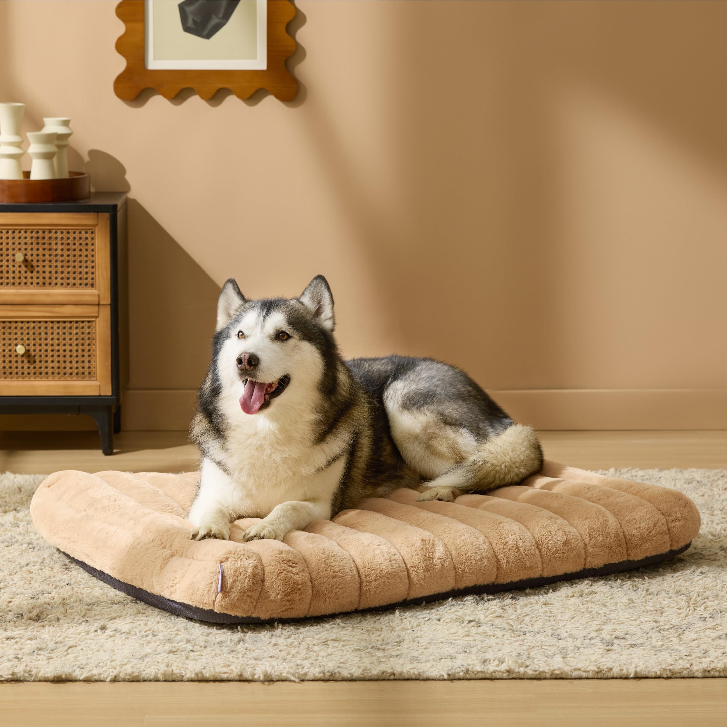 LE SURE Cama Perro XL con espuma ortopédica para descanso cómodo.