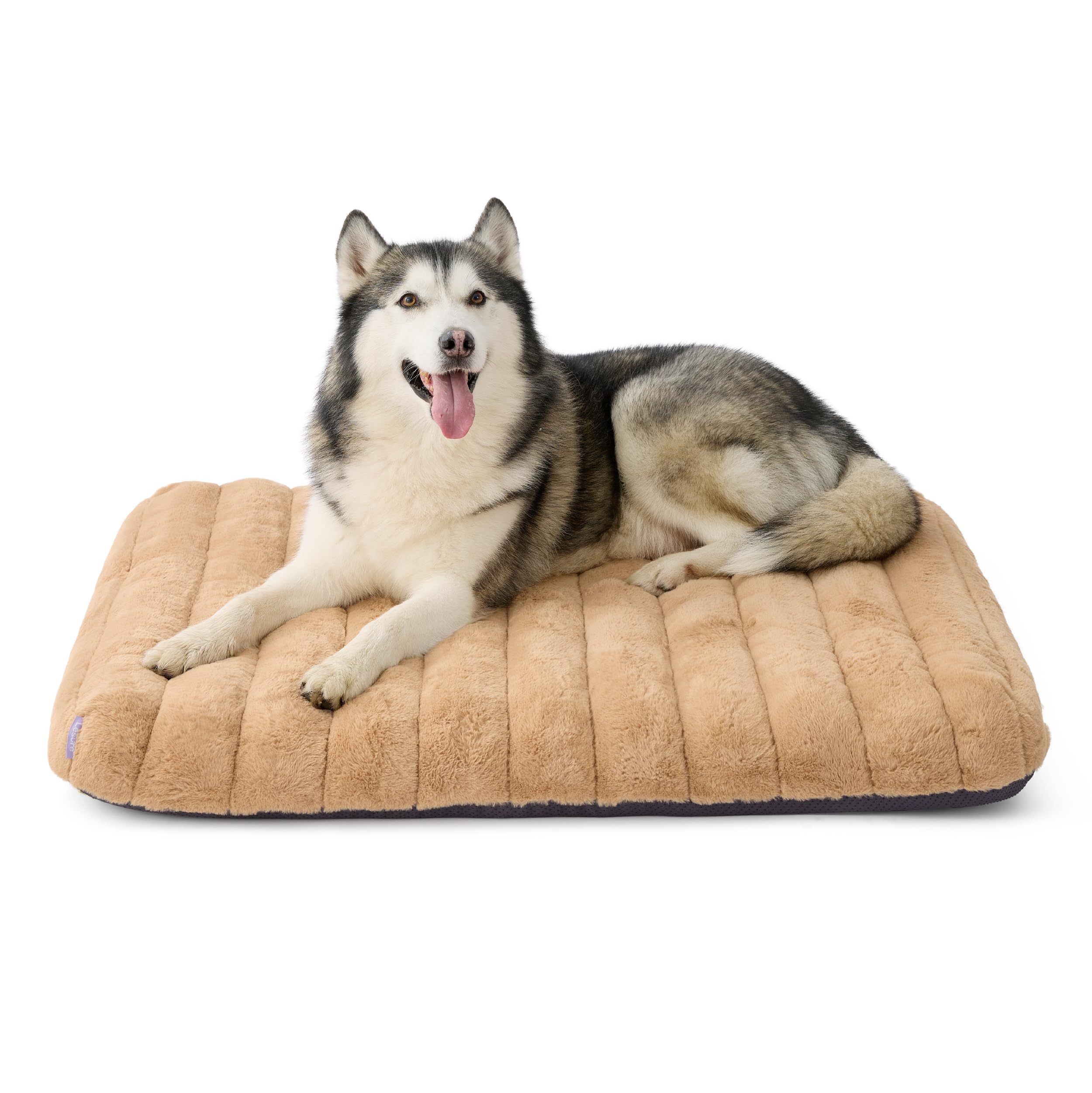 LE SURE Cama Perro XL con funda lavable para interiores y viaje.