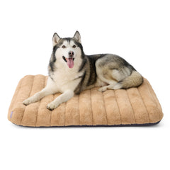 LE SURE Cama Perro XL con funda lavable para interiores y viaje.