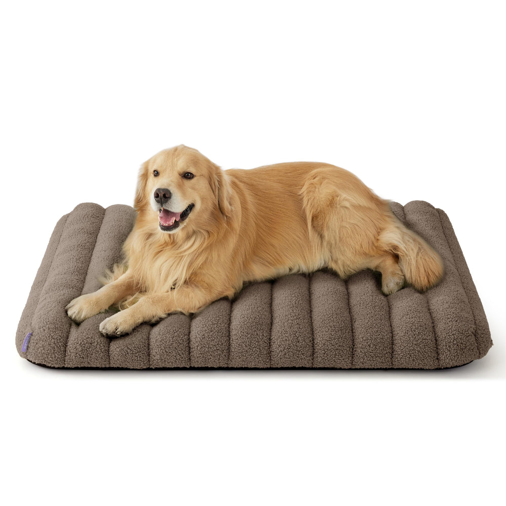 LE SURE cama XL con peluche de felpa para descanso suave