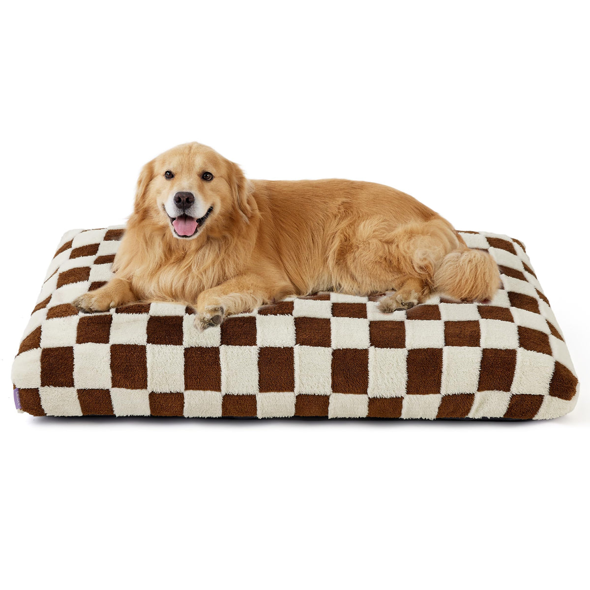 LE SURE cama para perros XL, vista general del diseño moderno para interiores y descanso cómodo