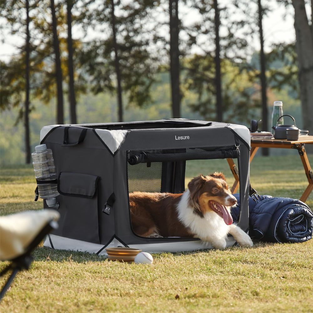 Uso en interiores y exteriores, ideal para viajes con tu mascota.