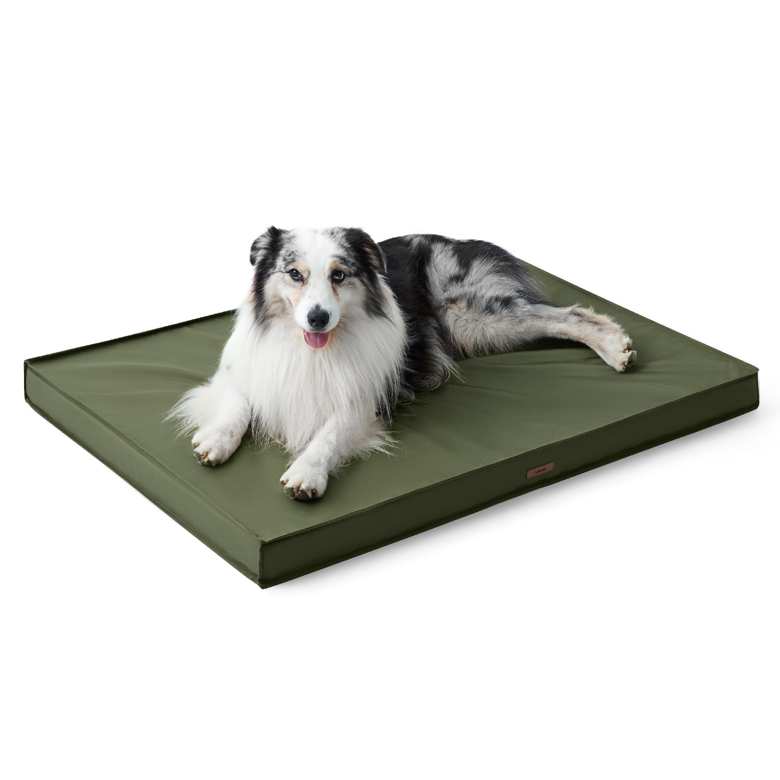 LE SURE diseño ergonómico para mascotas de todas las edades.