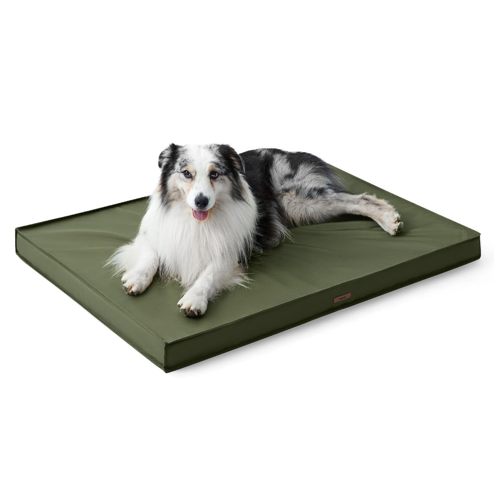 LE SURE diseño ergonómico para mascotas de todas las edades.