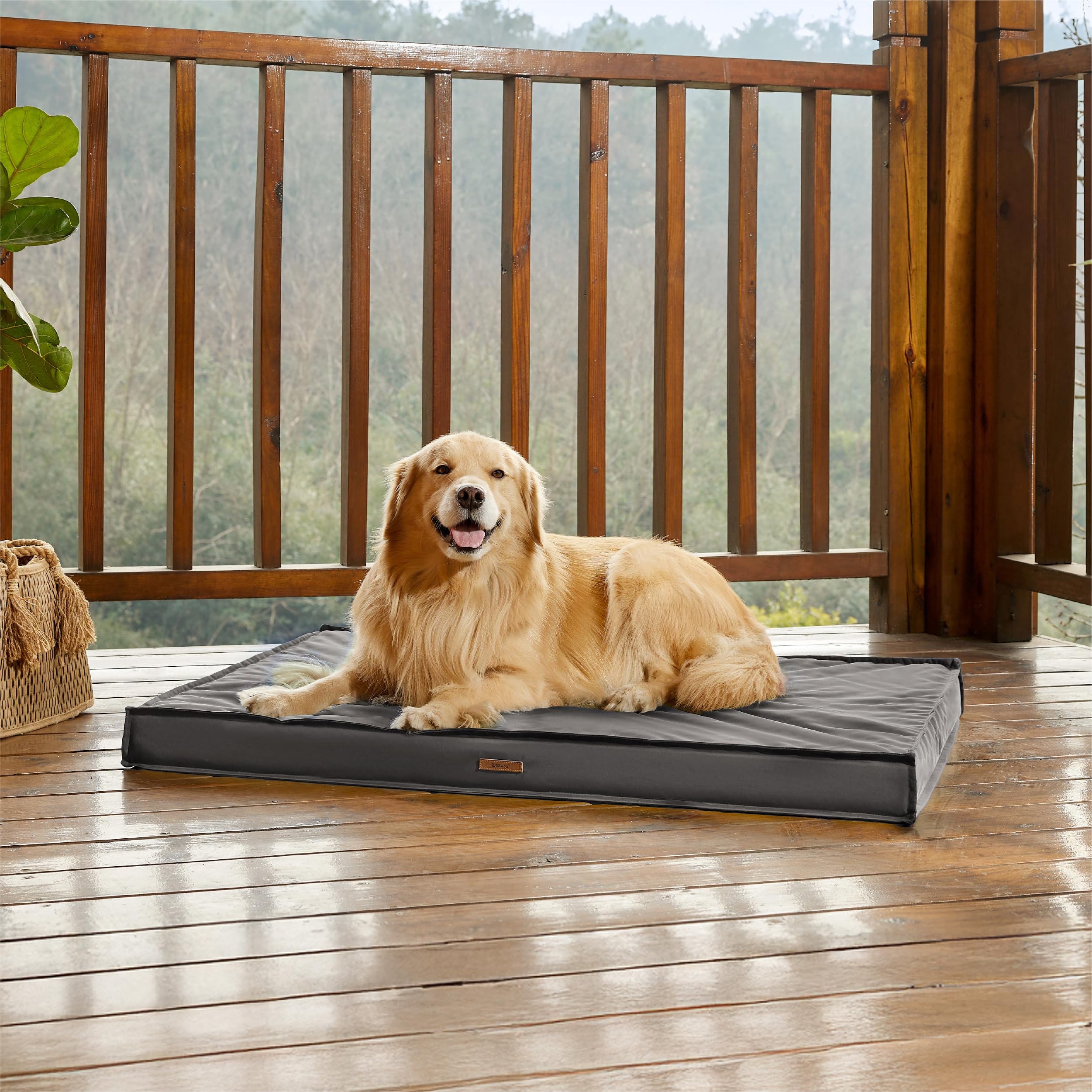 LE SURE diseno-seguro-acolchado para perros de todas las edades