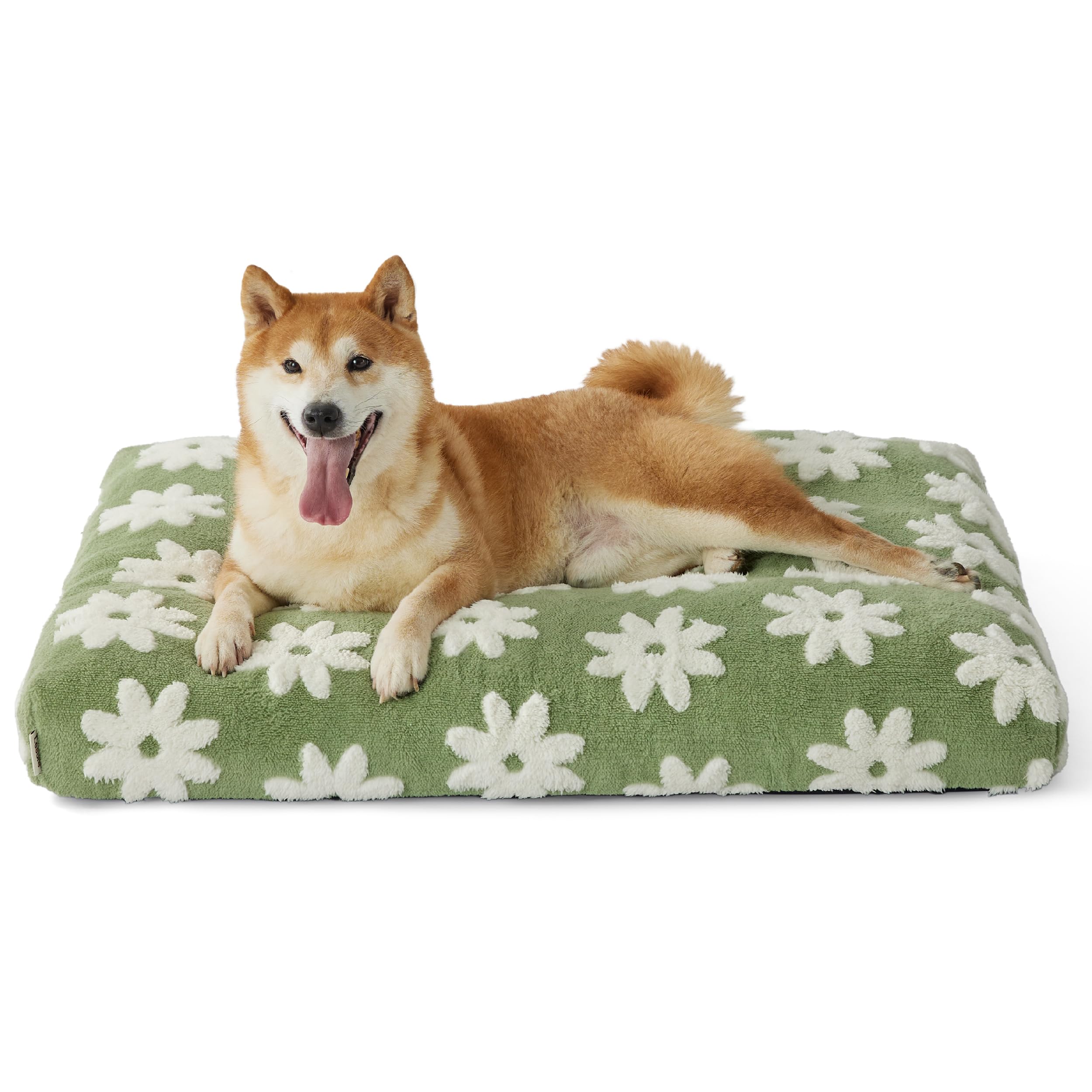 LE SURE cama para perros de diseño moderno y verde, ideal como adorno y descanso.