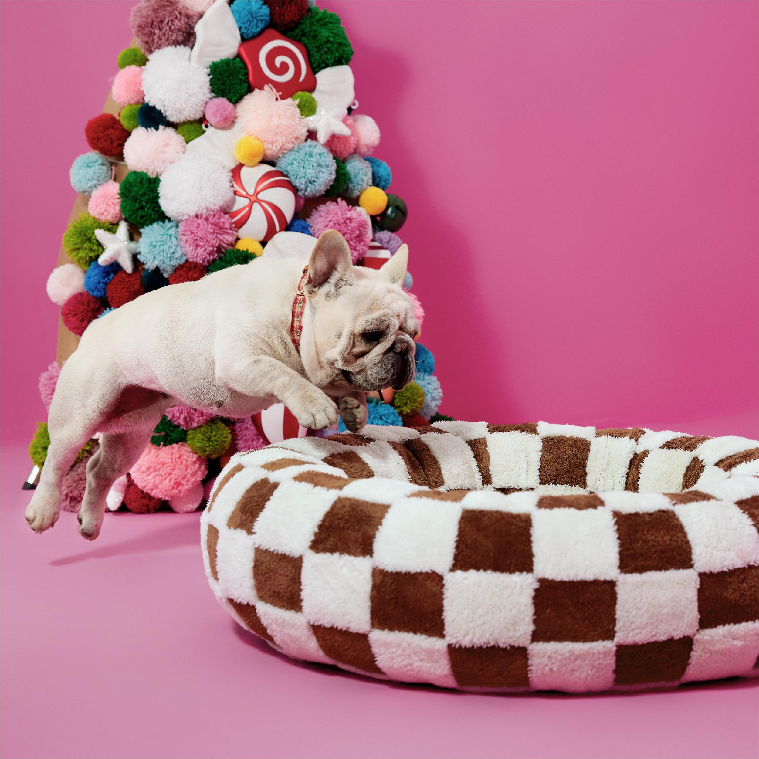 Ideal para interiores; regalo perfecto para mascotas felices.