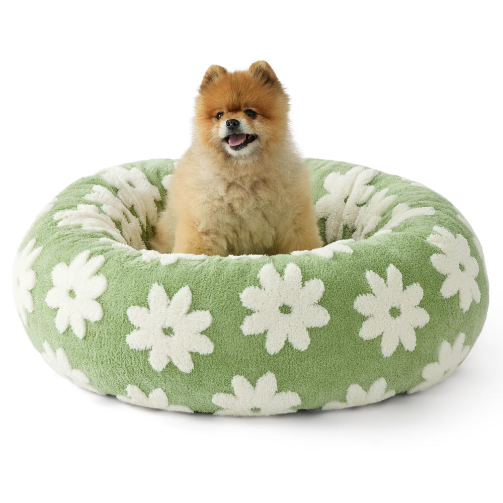 LE SURE Cama Donut para Perro Pequeño Verde, comodidad suave para descansar
