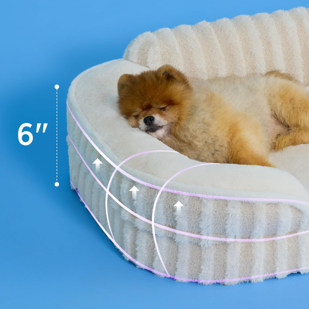 Le SURE funda desmontable lavable para cama de perro.