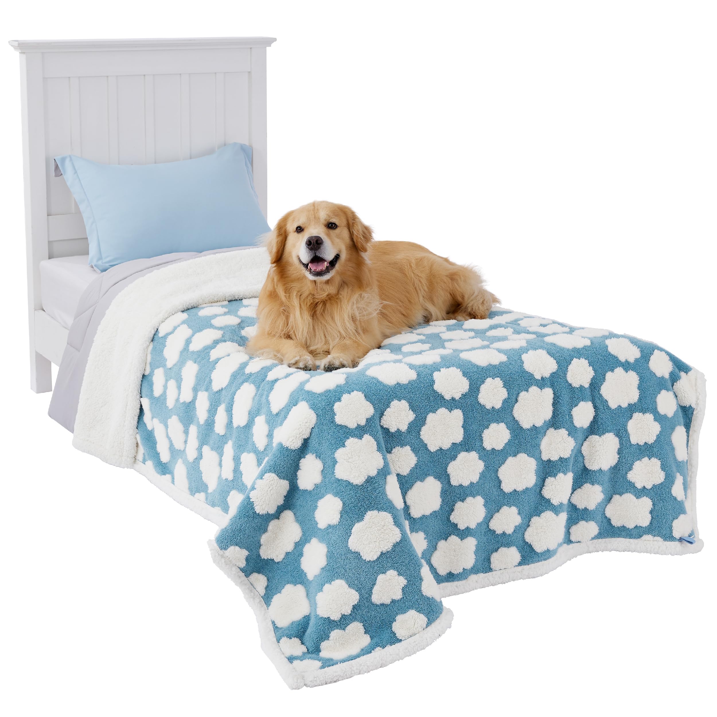 Manta impermeable LE SURE para perros grandes protege muebles frente a derrames.