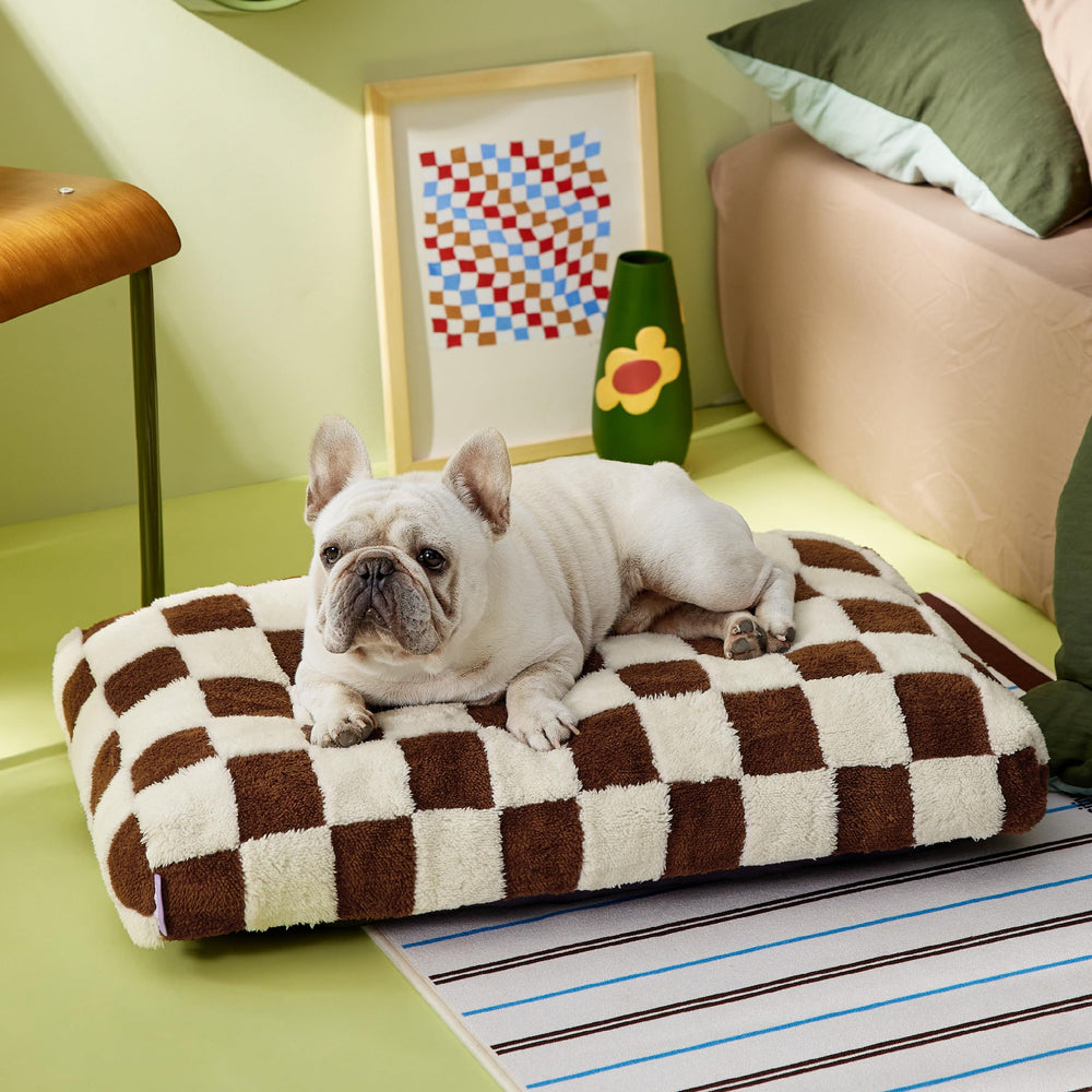Le SURE uso interior/exterior, cama versátil para casa o jaula.