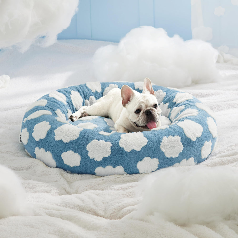 LE SURE uso interior para gatos o perros.