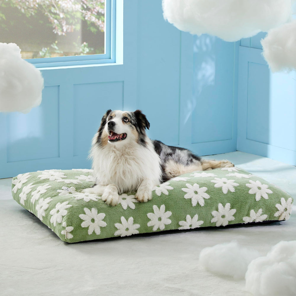 Diseño moderno en verde de LE SURE XL para mejorar la decoración y el descanso.
