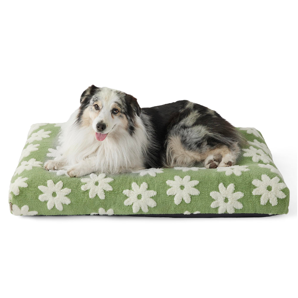 Cama LE SURE XL para perro, vista general, descanso cómodo en casa.