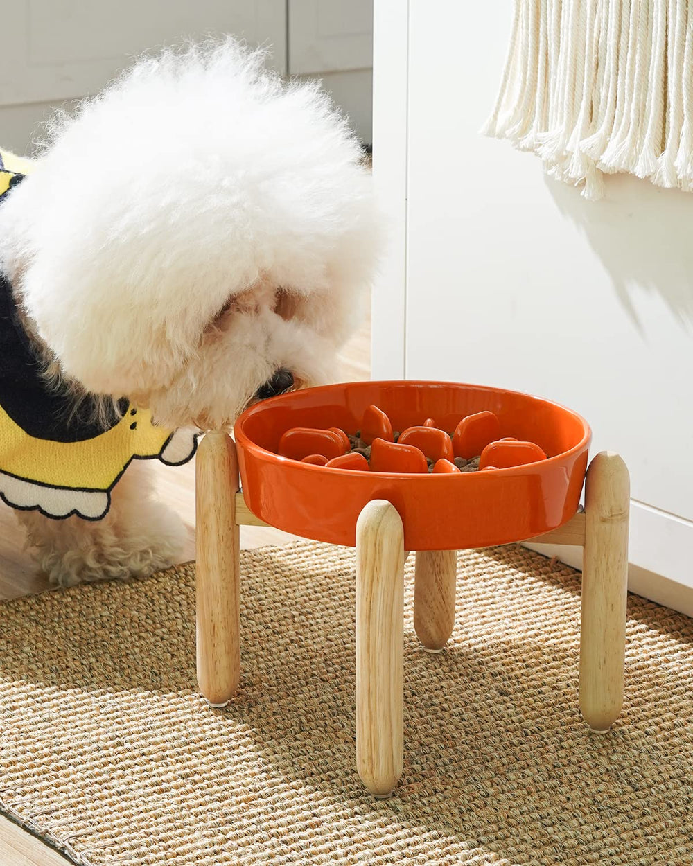 LE TAUCI diseño laberinto cerámico para perros, ralentiza la ingesta