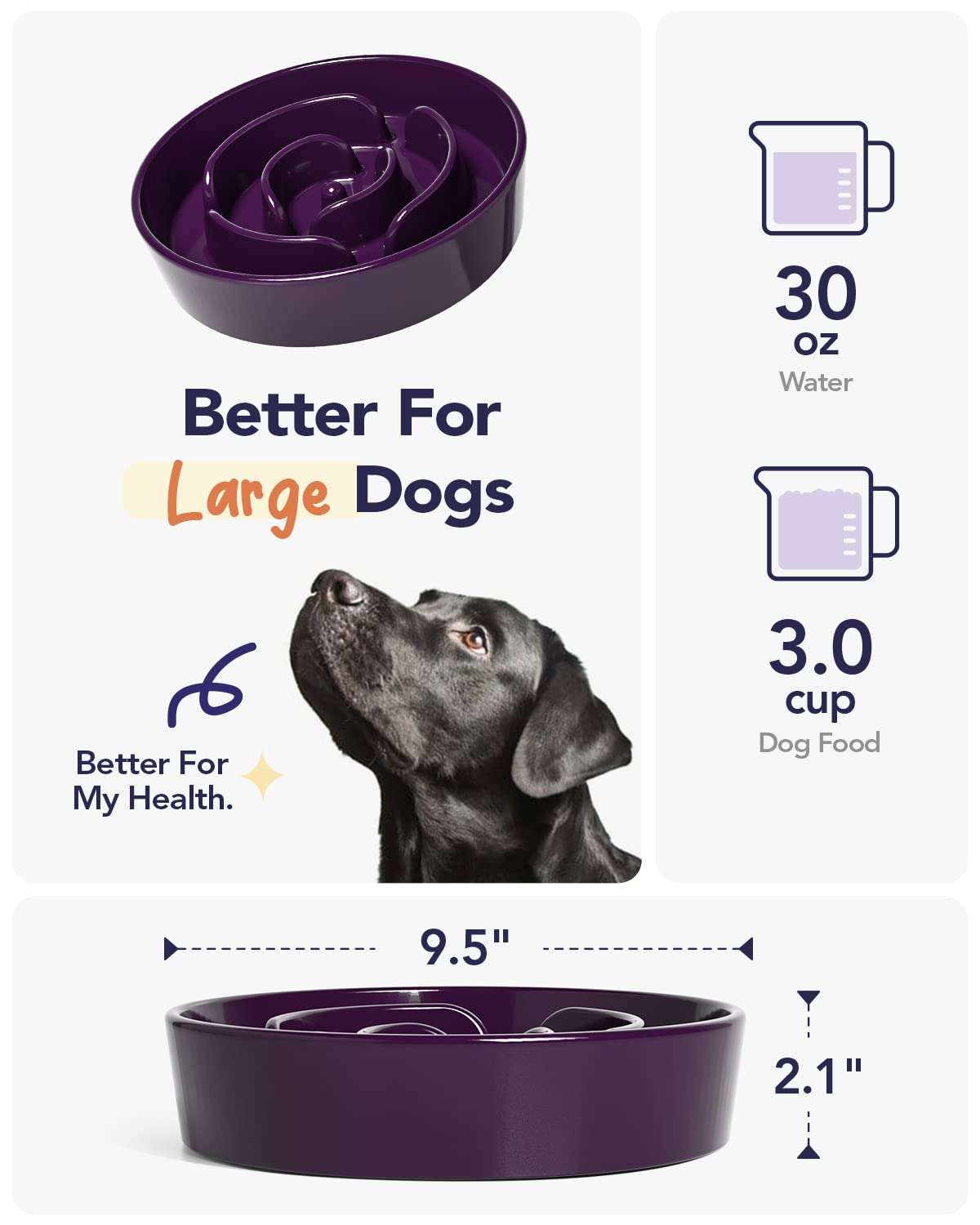 LE TAUCI tazón cerámico resistente, ideal para perros activos