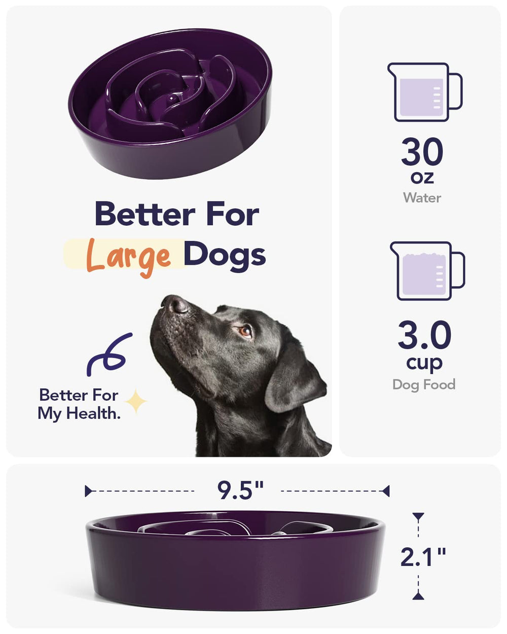 LE TAUCI tazón cerámico resistente, ideal para perros activos