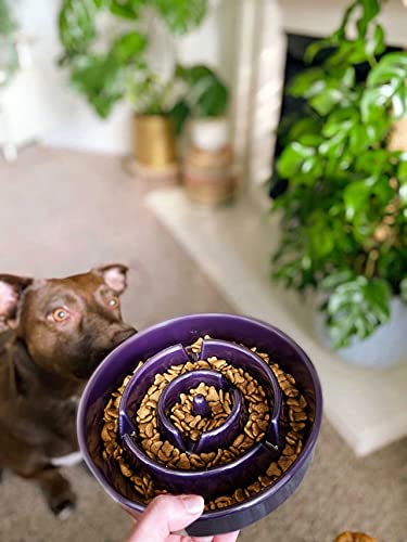 LE TAUCI comedero lento para perros de razas pequeñas y medianas.
