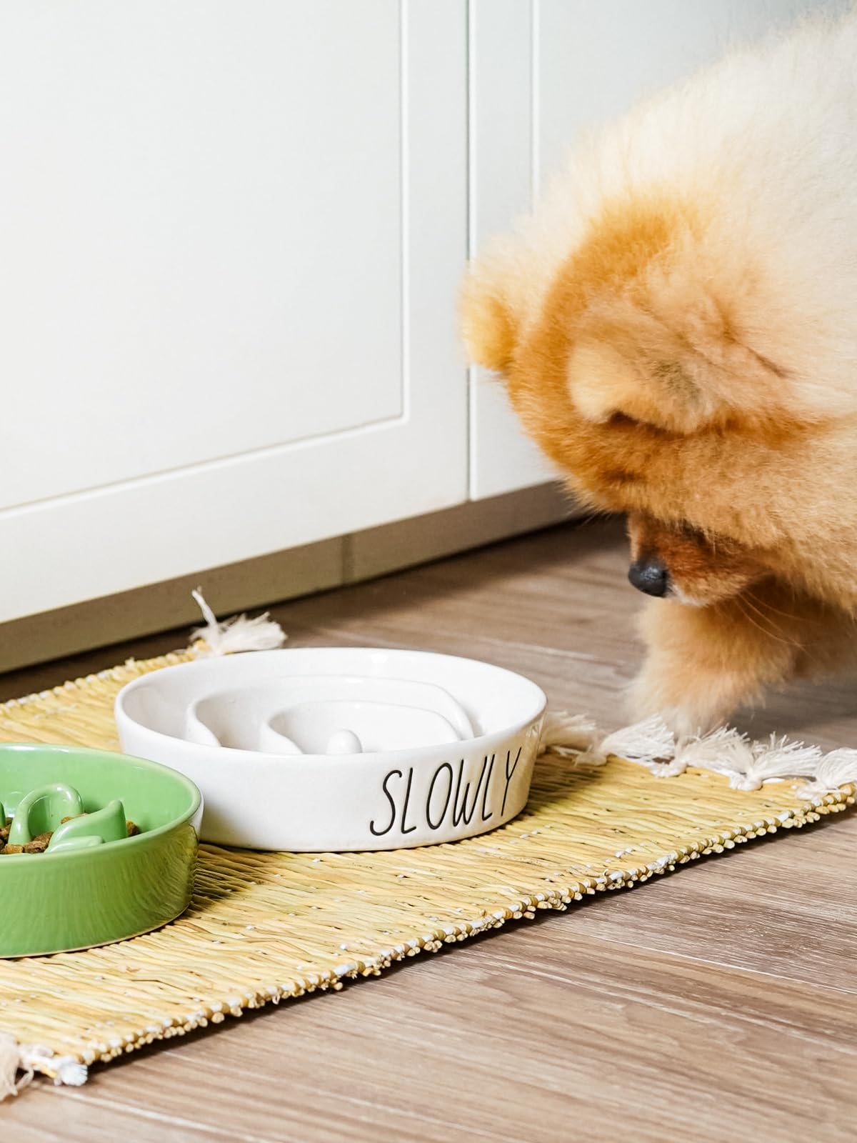 LE TAUCI PET tazón cerámico con diseño laberinto para comer despacio en perros pequeños