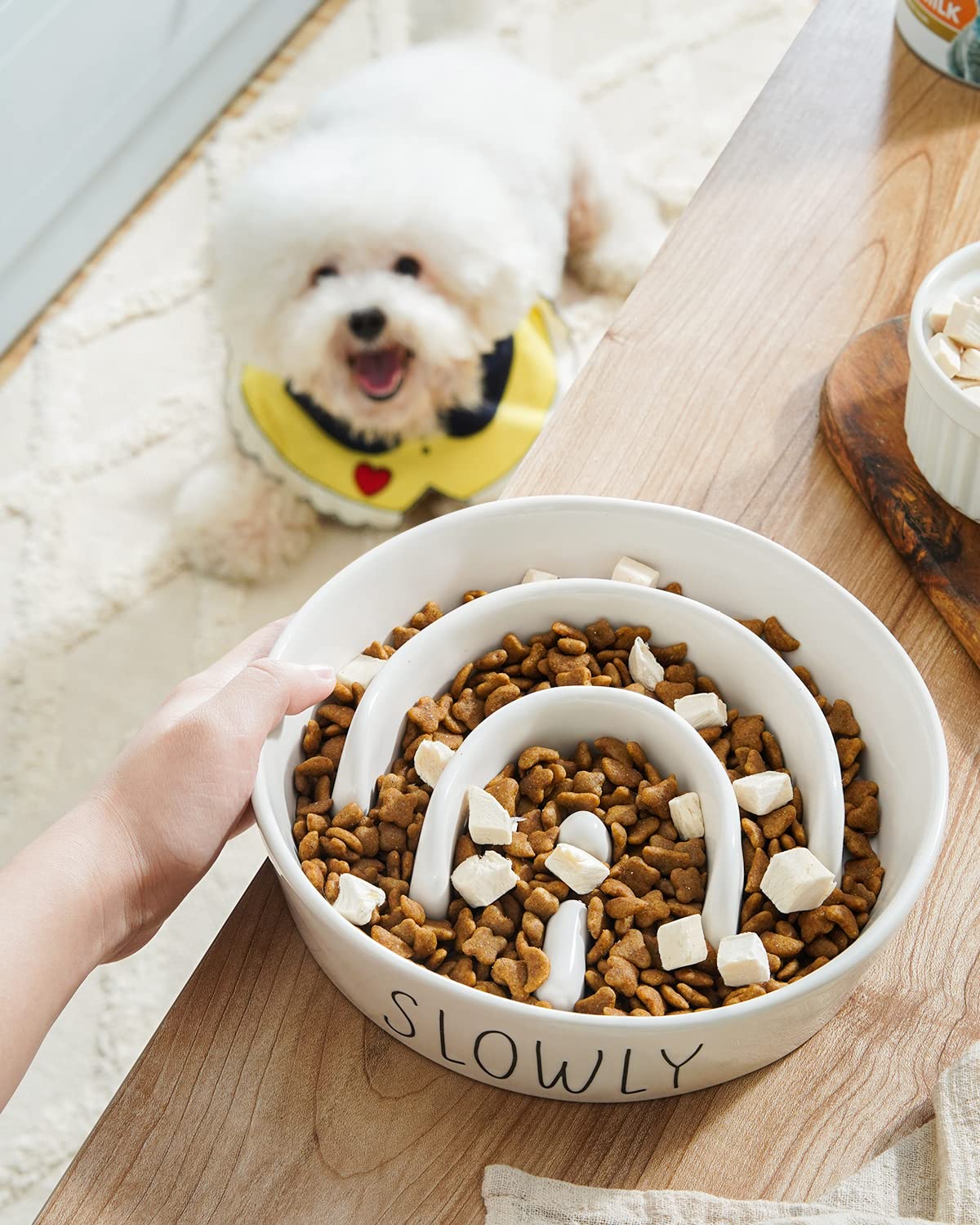 LE TAUCI PET tazón lento cerámico apto lavavajillas y microondas, comodidad diaria