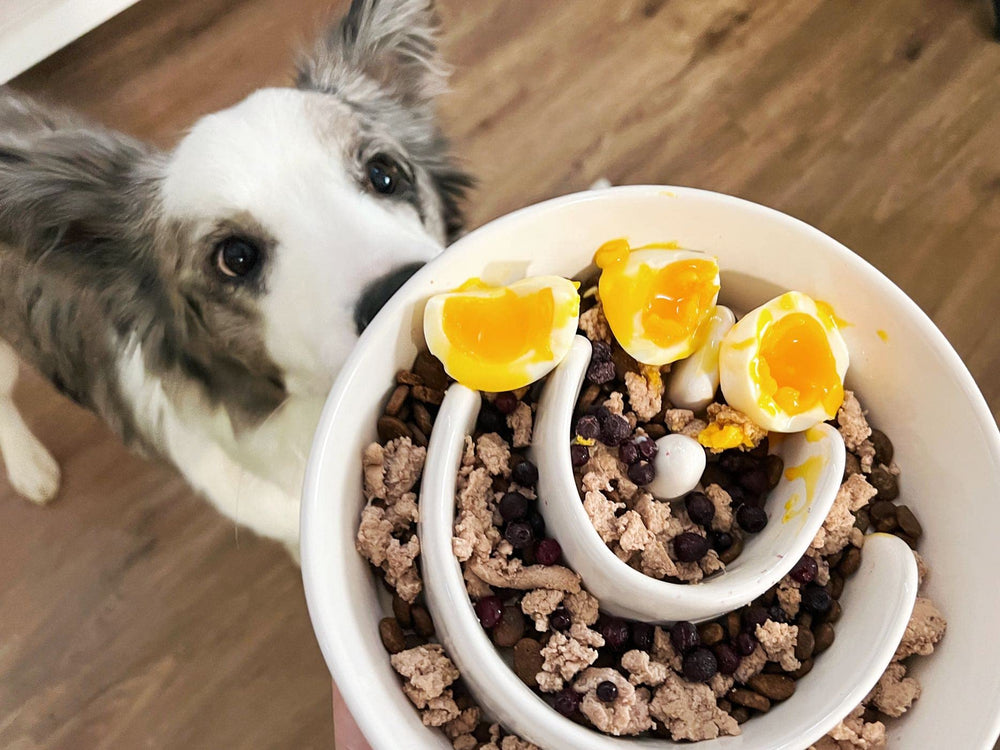 LE TAUCI PET tazón lento cerámico plano superior, muestra diseño laberinto