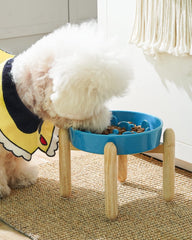 LE TAUCI plato elevado 1,5 tazas para perros, comodidad durante la comida.