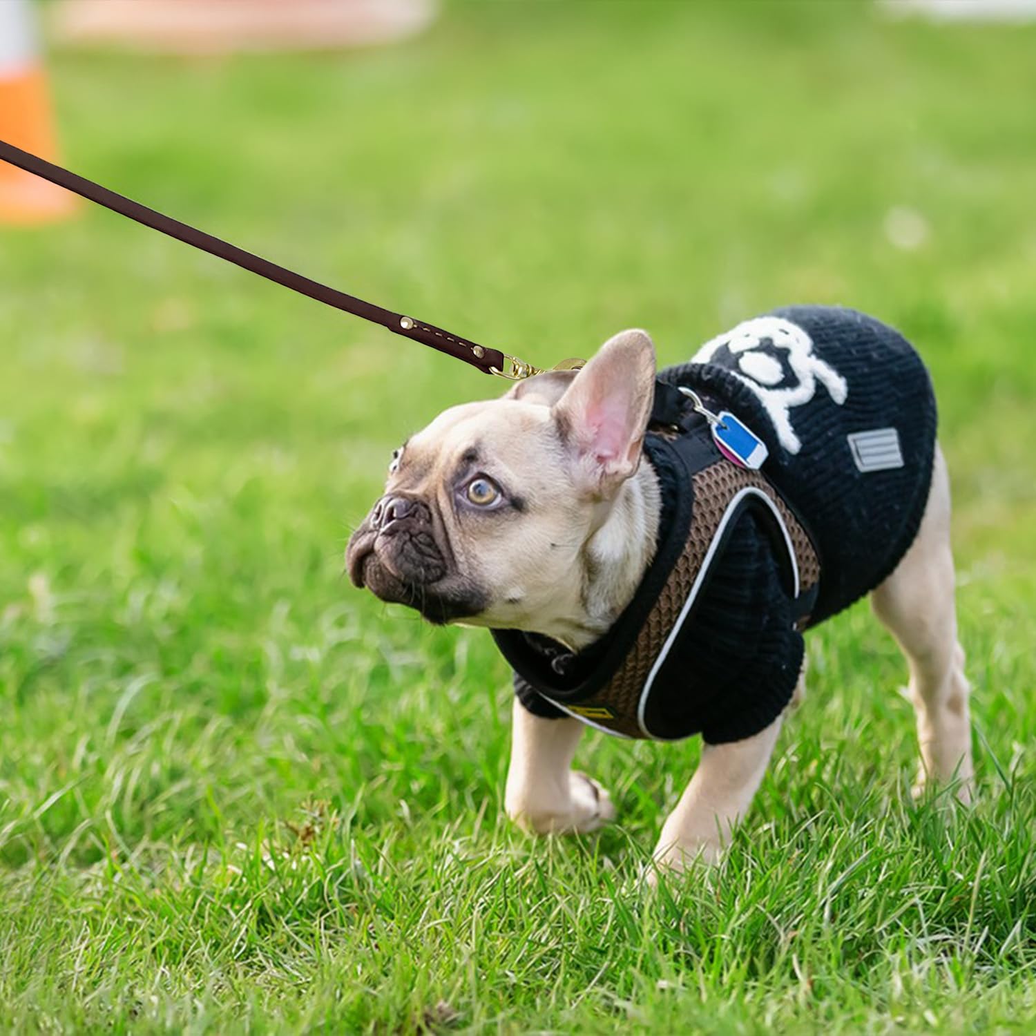 Leadfar correa para perros, paseo diario en parque con cuero de calidad.