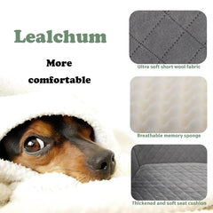 Lealchum asiento lavable y removible, facilita la limpieza tras cada viaje.